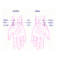 chin-Pulsdiagnose